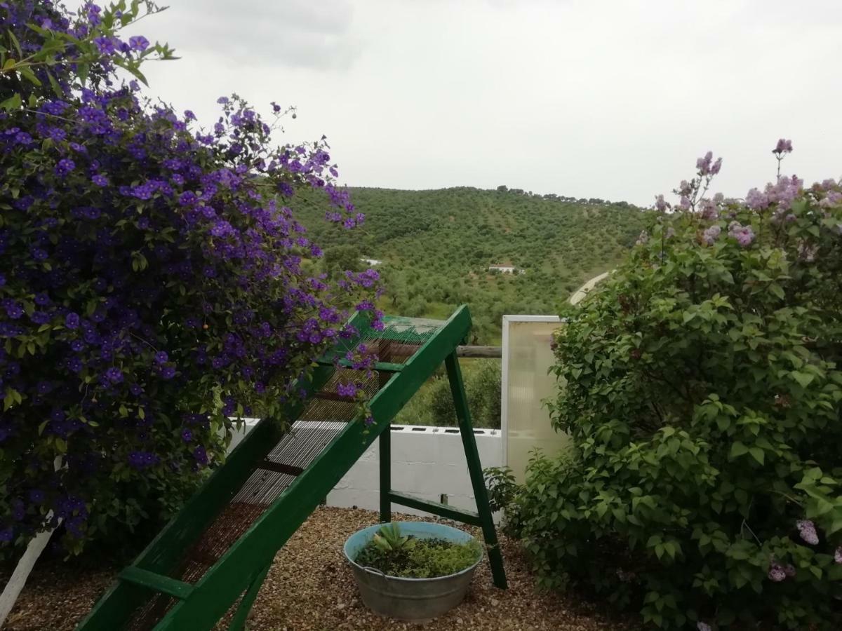 Alojamiento Rural La Perdiz La Puebla de los Infantes Buitenkant foto